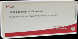 GLANDULAE SUPRARENALES comp.Ampullen 10X1 ml