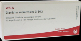 GLANDULAE SUPRARENALES GL D 12 Ampullen 10X1 ml