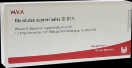 GLANDULAE SUPRARENALES GL D 15 Ampullen 10X1 ml