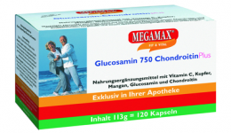GLUCOSAMIN 750 Chondroitin Plus Megamax Kapseln 113 g