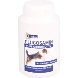 GLUCOSAMIN+CHONDROITIN Kapseln f.Hunde 120 St. (76,8 g)