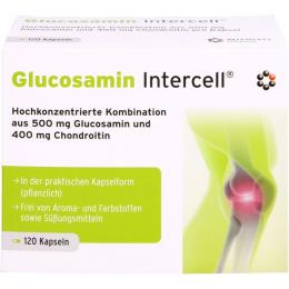GLUCOSAMIN INTERCELL Kapseln 120 St. (128,6 g)