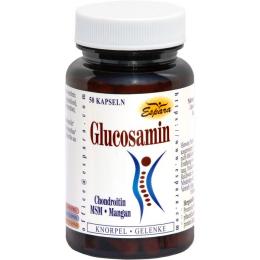 GLUCOSAMIN KAPSELN 50 St.