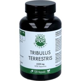 GREEN NATURALS Tribulus Terrestris 2250 mg veg.Kps 120 St. (104 g)