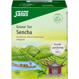 GRÜNER TEE Bio Salus Filterbeutel Großpackung 40 St. (72 g)