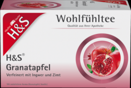 H&S Granatapfel Filterbeutel 20X2.0 g