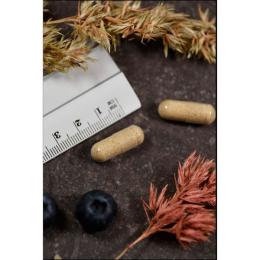 HAIR FORCE Kapseln 60 St. (57 g)