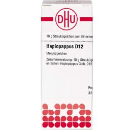 HAPLOPAPPUS D 12 Globuli 10 g