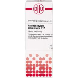HARPAGOPHYTUM PROCUMBENS D 12 Dilution 20 ml