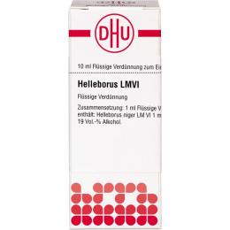 HELLEBORUS LM VI Dilution 10 ml