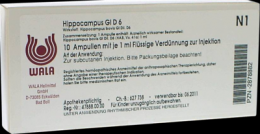 HIPPOCAMPUS GL D 6 Ampullen 10X1 ml