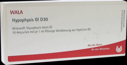 HYPOPHYSIS GL D 30 Ampullen 10X1 ml