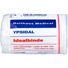 IDEALBINDE YPSIDAL 8 cmx5 m Zellgl.+Schacht.m.Kl. 1 St.