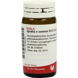 IGNATIA E semine D 12 Globuli 20 g