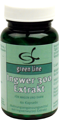 INGWER 300 Extrakt Kapseln 30.5 g