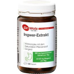 INGWER EXTRAKT Dr.Wolz Kapseln 120 St. (35 g)