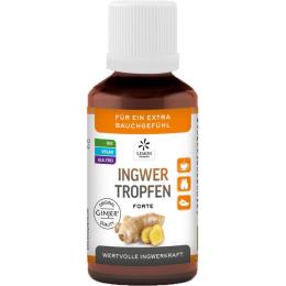INGWER GINJER forte Tropfen 50 ml