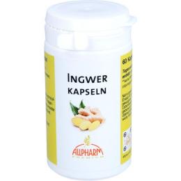 INGWER KAPSELN 300 mg 60 St. (0 g)