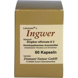 INGWER KAPSELN 60 St.