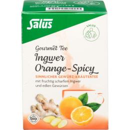 INGWER ORANGE Spicy Tee Salus Filterbeutel 15 St.