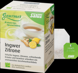 INGWER ZITRONE Tee Salus Filterbeutel 30 g