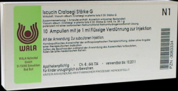 ISCUCIN crataegi Strke G Ampullen 10X1 ml