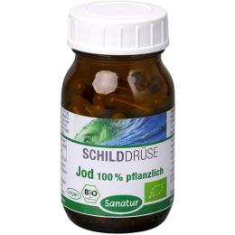 JOD 100% pflanzlich Bio Kapseln 60 St. (33 g)