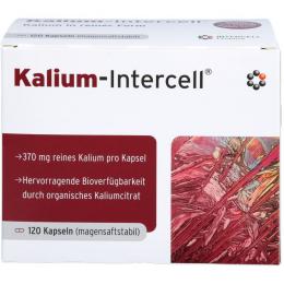KALIUM-INTERCELL magensaftresistente Hartkapseln 120 St. (138 g)