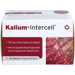 KALIUM-INTERCELL magensaftresistente Hartkapseln 60 St. (69 g)