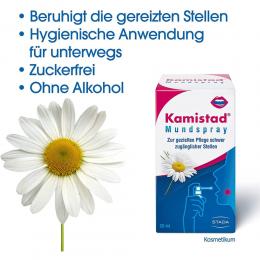 Ein aktuelles Angebot für KAMISTAD Mundspray 20 ml Spray Häusliche Pflege - jetzt kaufen, Marke Stada Consumer Health Deutschland Gmbh.