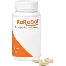 KARADOL magensaftresistente Kapseln 120 St. (56 g)