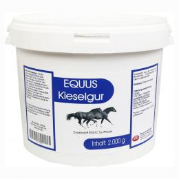 KIESELGUR Equus Pulver f.Pferde 2000 g Pulver