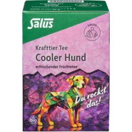KRAFTTIER Tee Cooler Hund Bio Salus Filterbeutel 15 St.