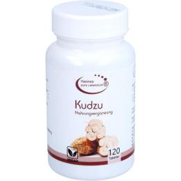 KUDZU TABLETTEN 120 St. (54 g)