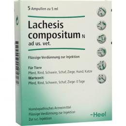 Ein aktuelles Angebot für LACHESIS COMPOSITUM N ad us.vet.Ampullen 5 St Ampullen  - jetzt kaufen, Marke Biologische Heilmittel Heel GmbH.