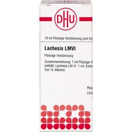 LACHESIS LM VI Dilution 10 ml