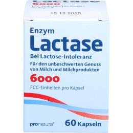 LACTASE 6.000 FCC Kapseln 60 St. (10 g)