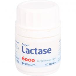 LACTASE 6.000 FCC Kapseln 60 St.