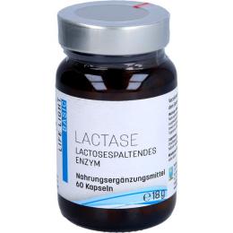 LACTASE KAPSELN 60 St. (18 g)