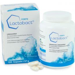 LACTOBACT Forte magensaftresistente Kapseln 120 St.