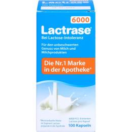 LACTRASE 6.000 FCC Kapseln 100 St. (17 g)