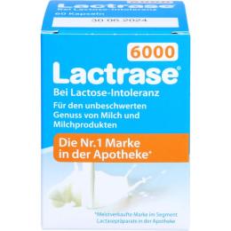 LACTRASE 6.000 FCC Kapseln 60 St. (10 g)