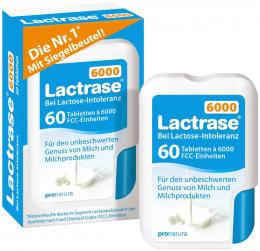 Ein aktuelles Angebot für Lactrase 6.000 FCC Tabletten im Klickspender 60 St Tabletten Blähungen & Krämpfe - jetzt kaufen, Marke Pro Natura Gesellschaft mbH.