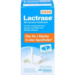 LACTRASE 6.000 FCC Tbl.Klickspender-Nachfüllpack 480 St. (36 g)