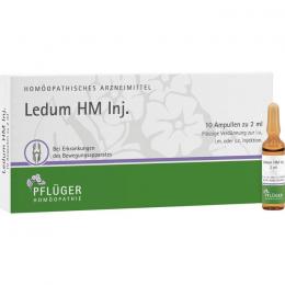 LEDUM HM Injekt Ampullen 10 St.