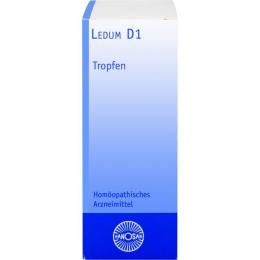 LEDUM Urtinktur D 1 Hanosan 20 ml