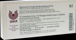 LIGAMENTUM LONGITUDINALE posterius GL D 6 Ampullen 10X1 ml