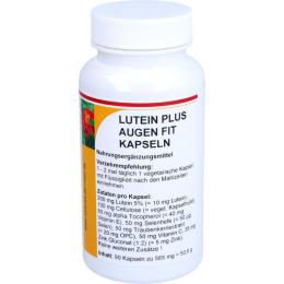 LUTEIN PLUS Augen Fit Kapseln 90 St.