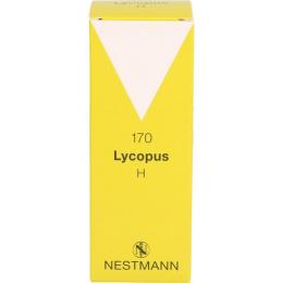 LYCOPUS H Nr.170 Tropfen 100 ml