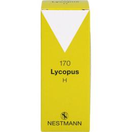 LYCOPUS H Nr.170 Tropfen 50 ml